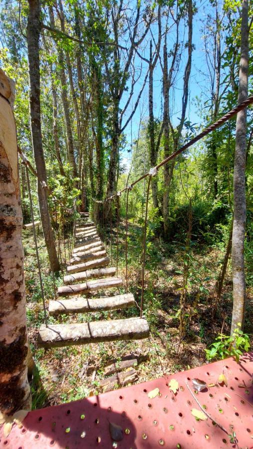 Hotel Lodge Las Cascadas Puerto Clocker Dış mekan fotoğraf