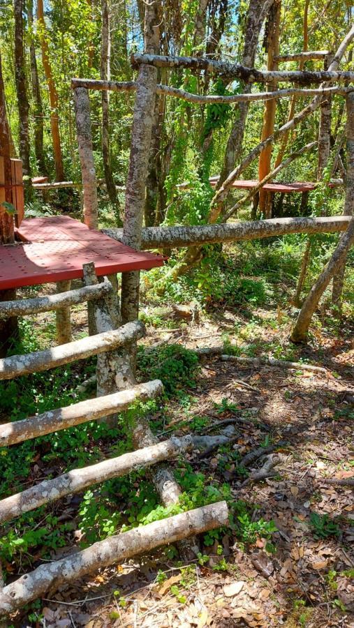 Hotel Lodge Las Cascadas Puerto Clocker Dış mekan fotoğraf